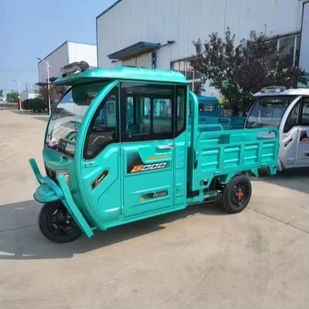 Electric Motor Fully Enclosed Belt Dump Truck Household Farm Product Transport Express Delivery Electric Tricycle