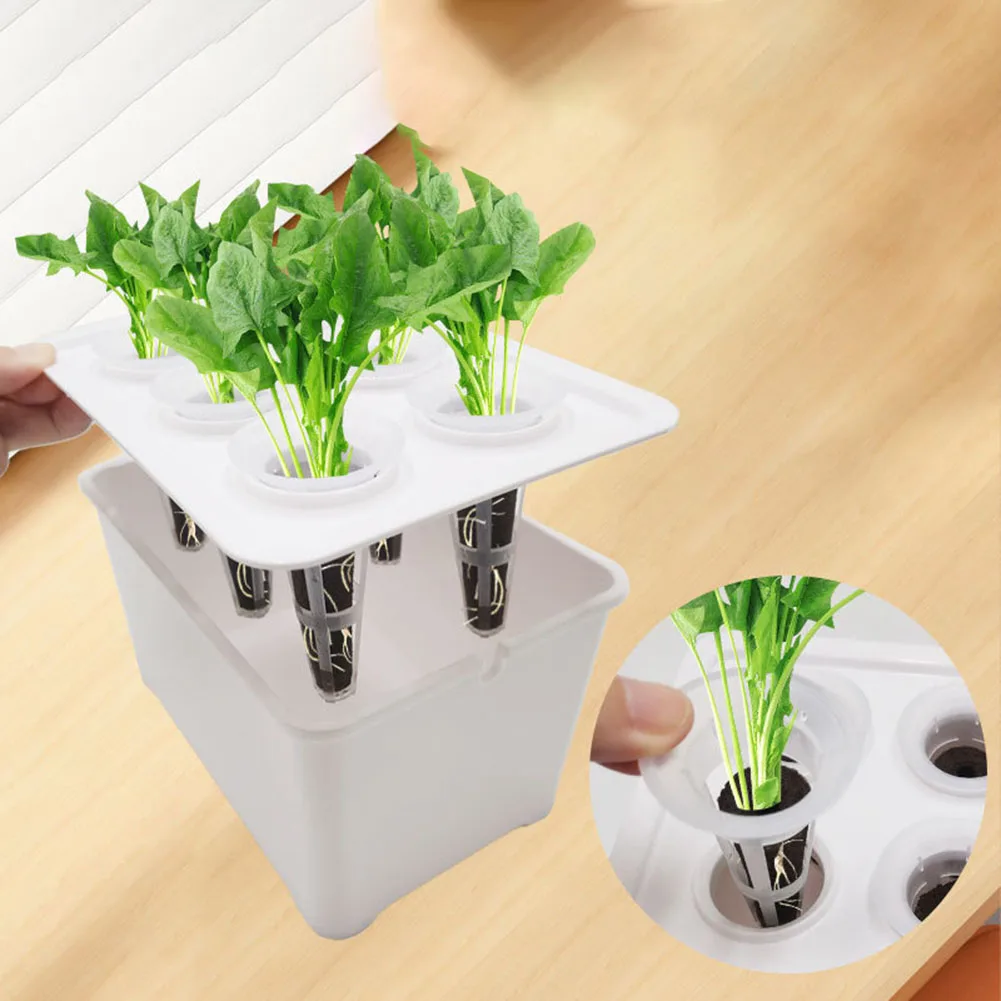 Easy Setup Plant Growth Kit - Includes 1 Box Top Cover Tweezers + 6 Cup Block Cover for Controlled Germination