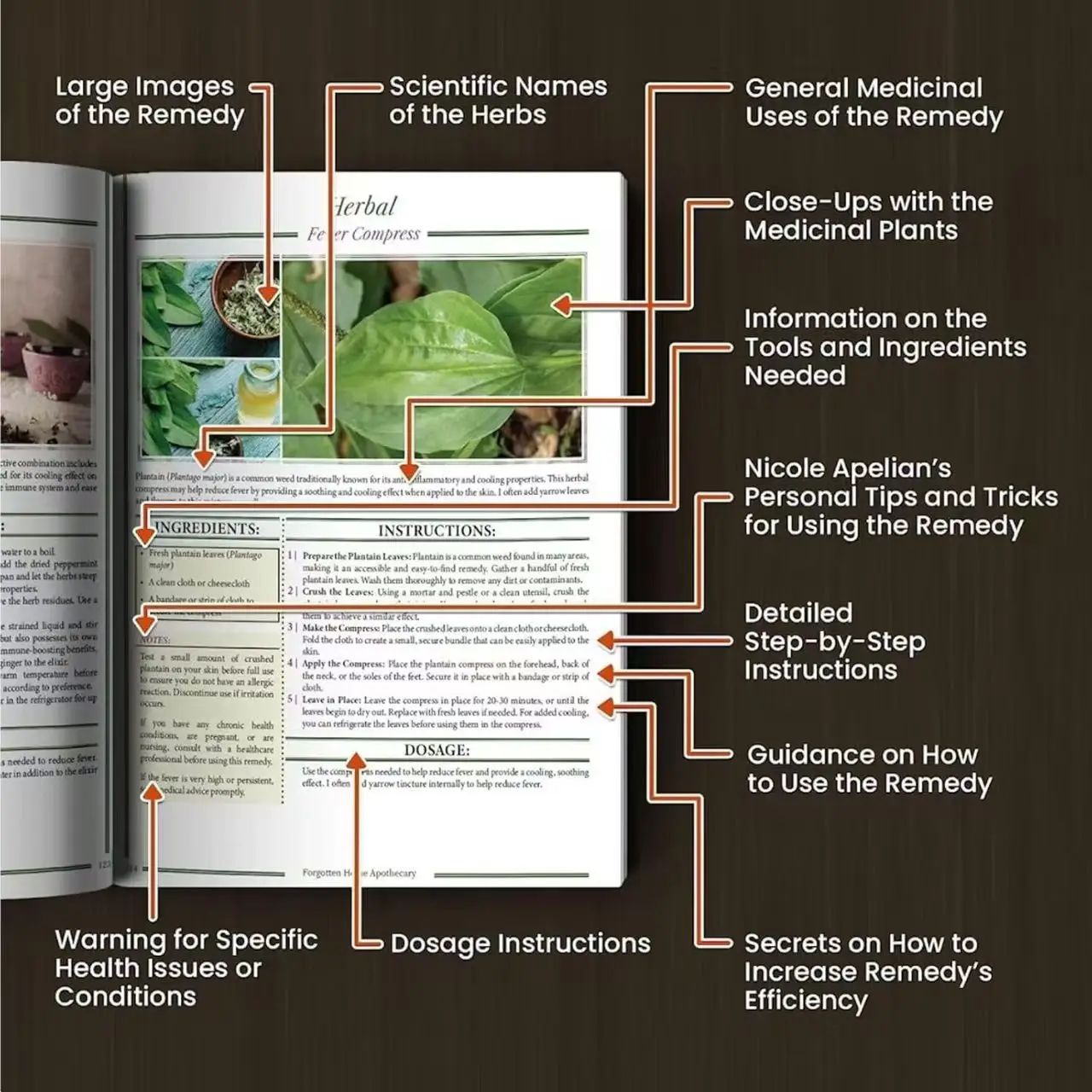Forgotten Home Apothecary The Home Doctor Book For Every Family for Everyday Well