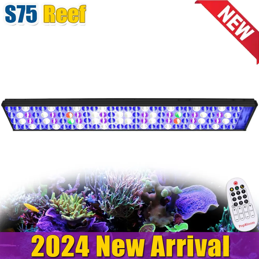 Lampu LED akuarium laut karang PopBloom-S75, lampu LED akuarium spektrum penuh untuk tangki ikan SPS/LPS karang 36 "80-100cm