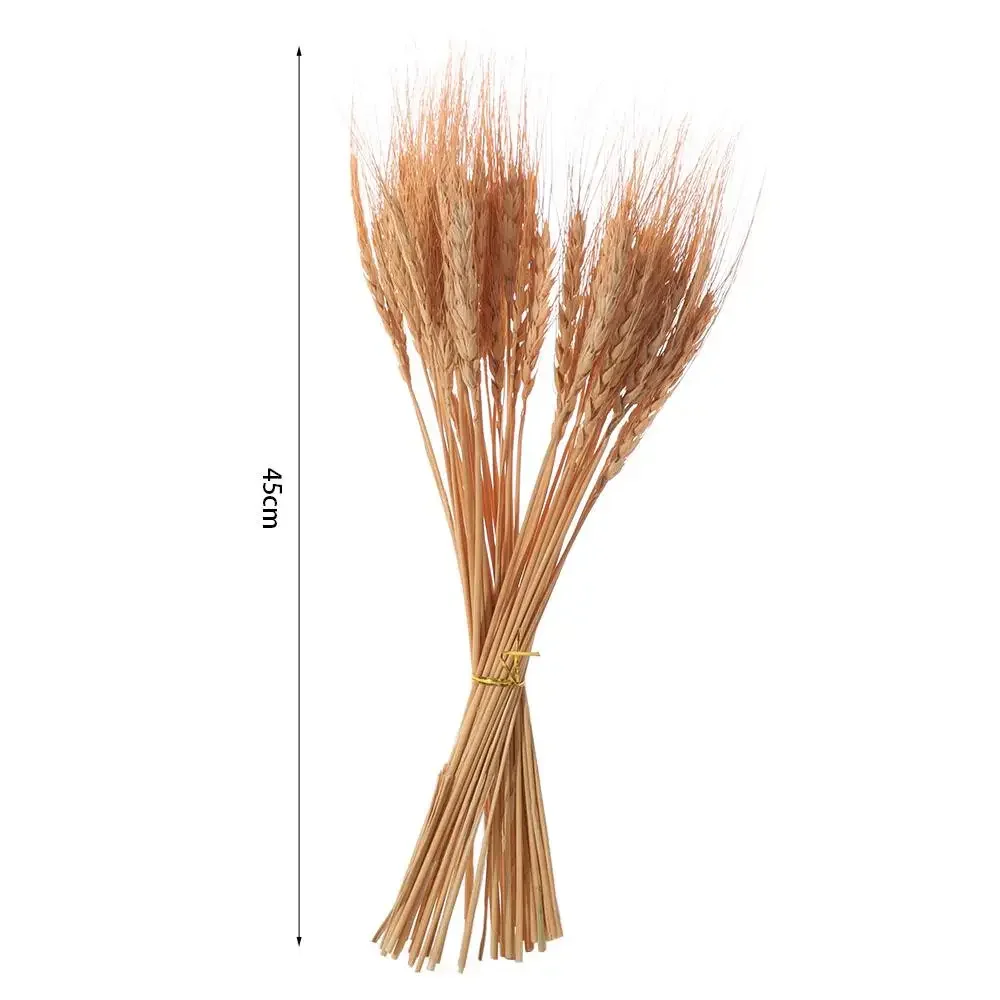 50pcs Artificial Flower Natural Dried Wheat Stalks DIY Craft Elegance Dry Wheat Spikes Rustic Dried Flowers Christmas Decoration view 6