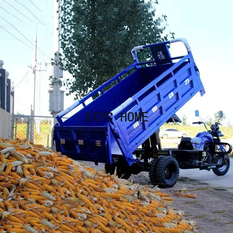 Nowy styl 250cc trójkołowy motocykl pasażerski i trzykołowy rower towarowy motocykl benzynowy trzy koła motocykl