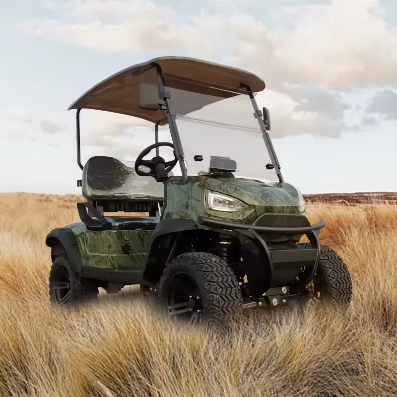 

Электрическая тележка для гольфа 48 В, 1 ряд, 2-местная дорожная внедорожная багги, новая модель, подъемная тележка для гольфа с литиевой батареей