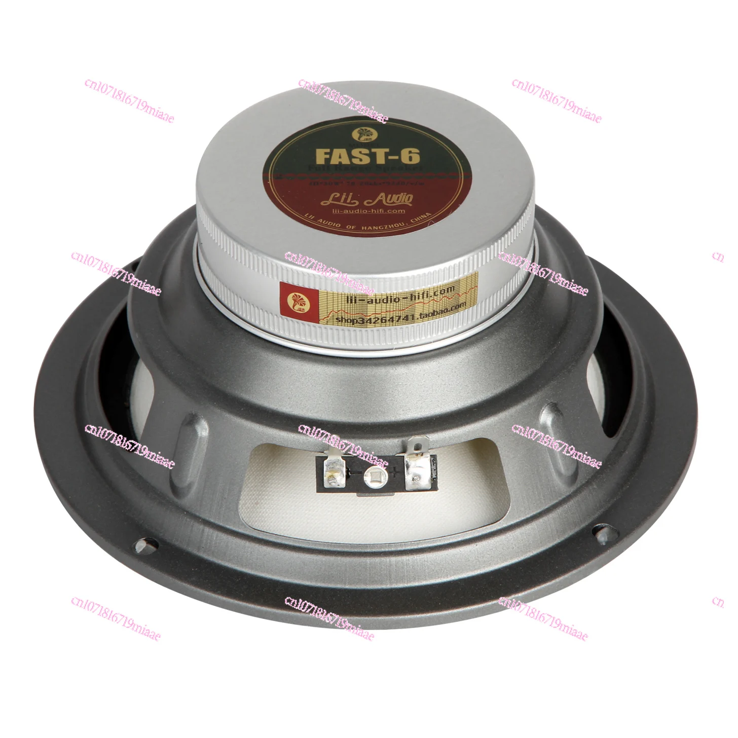 

6.5-Inch Fast-6(4 Euros) Hifi Full-Range Car Horn Lii Audio