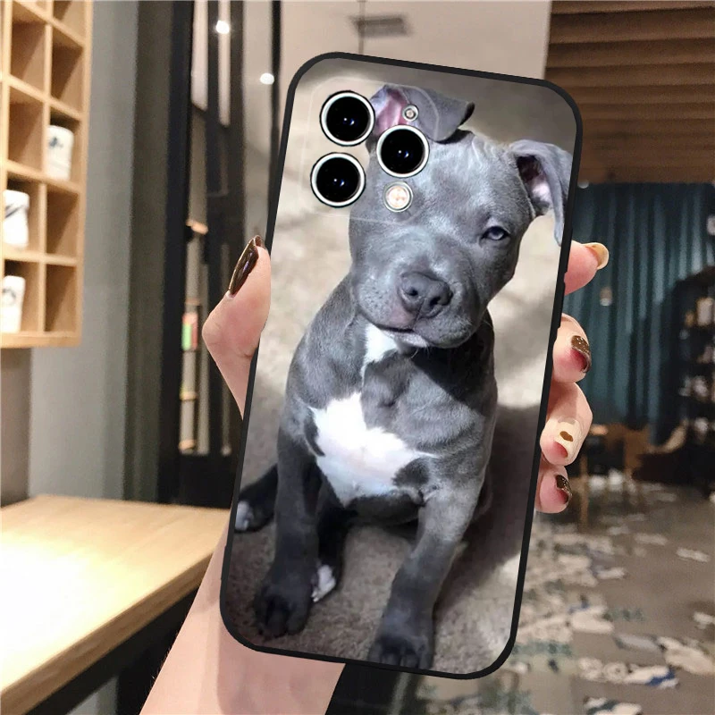 

Phone Case Carcasa Funda For iPhone 17 Pro Max 17 Air 16 15 14 13 Pro Max 15 16 Pro 15Plus Pitbull Terrier Dog