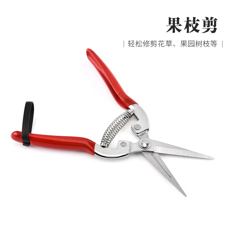 

F50 Stainless Steel Pruning Scissors Gardening Scissors Household Fruit Picking Grape Scissors Garden Branch Pruning Tools