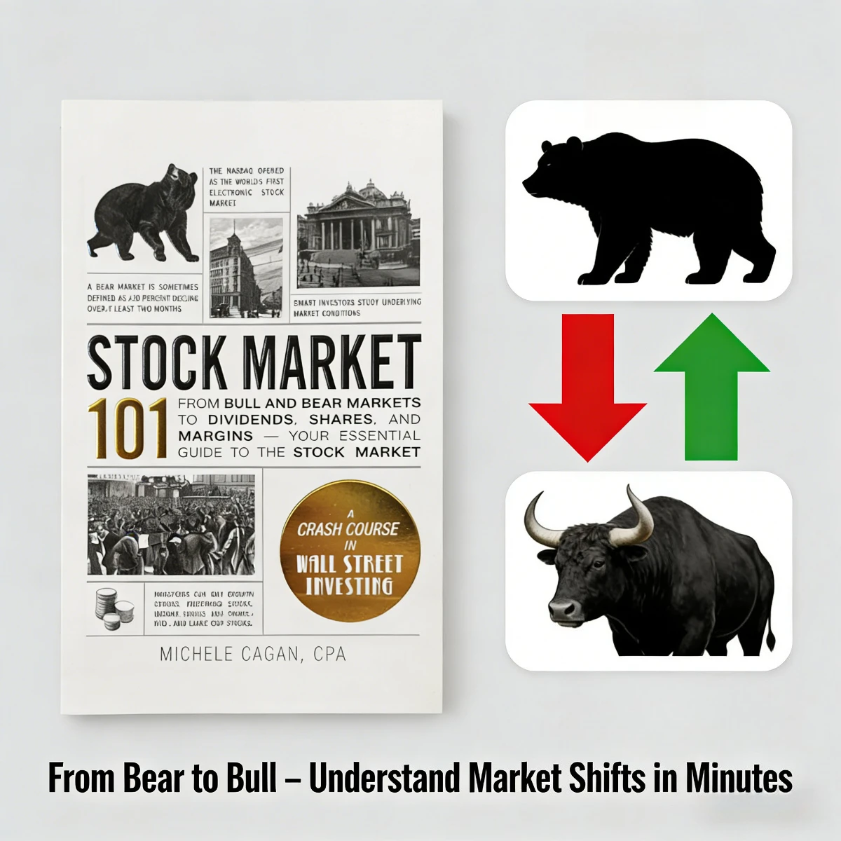 Stock Market 101: Essential Guide To Bull & Bear Markets, Dividends, Shares & Margins | Wall Street Investing Crash Course