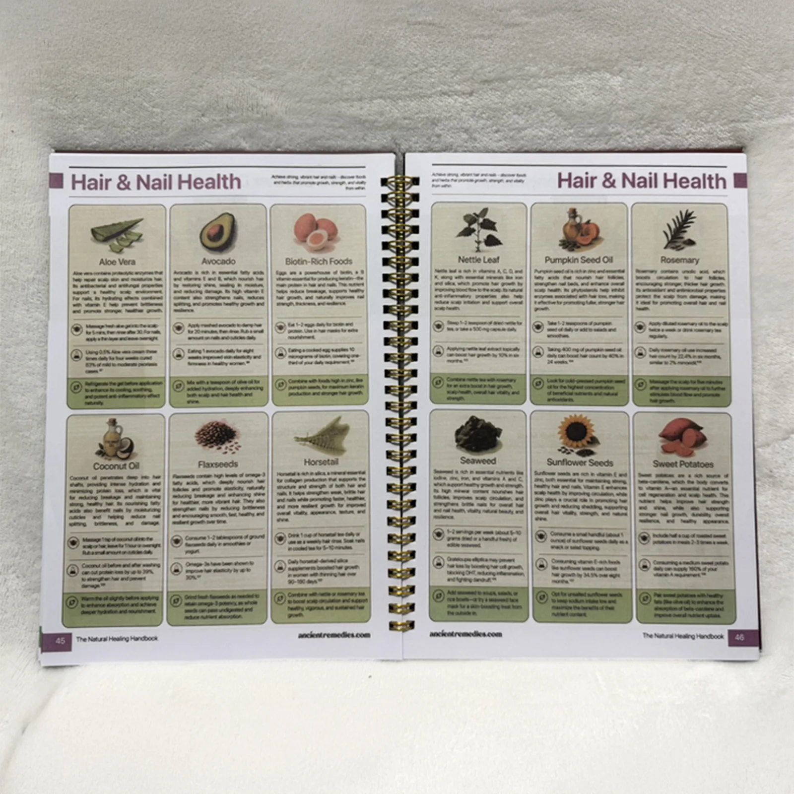Herbal Remedies Guide Spiral Bound Natural Healing Handbook with Recipes for Heart Blood Sugar Focus - Image 2