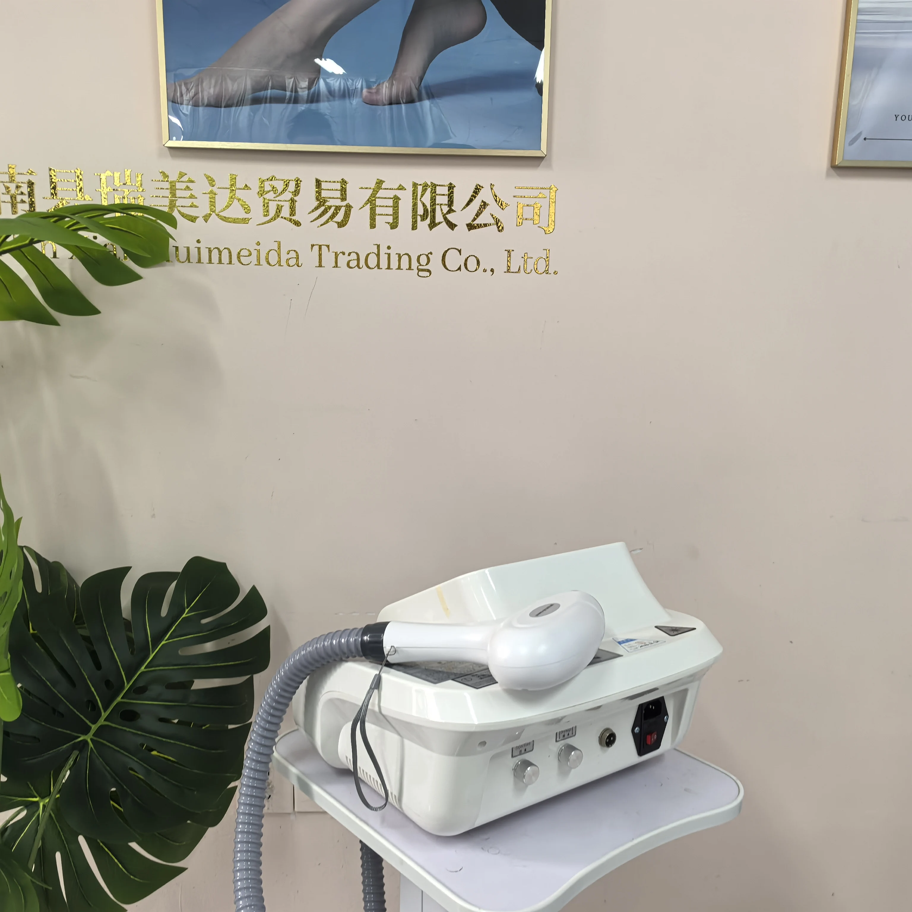 Professional 3Waves Portable   - огляд і ціна Alexandrite Laser Hair Removal Machine
