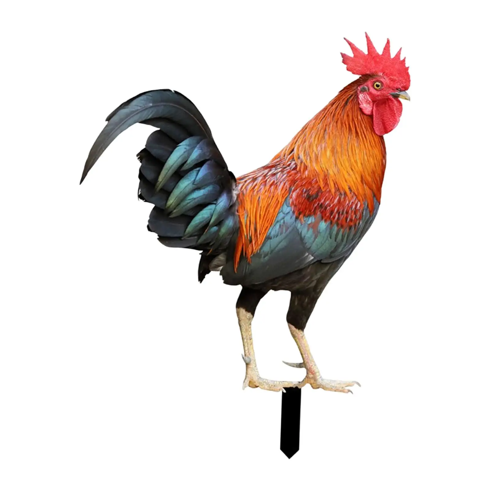 Easter Chicken Sculpture Acrylic Rooster Garden Stake Outdoor Yard Statue Ornaments for Pathway Backyard Lawn Decor