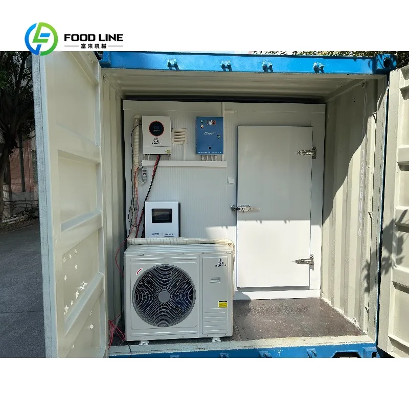Customized Factory Price Energy-Saving 20ft Solar Cold Storage Container Easy to Operate