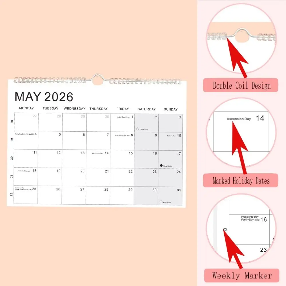 Nuovo gennaio 2026 - Giugno. Calendario 2027 2026 con gancio Calendario da parete in carta spessa Studio quotidiano Calendario inglese colorato per la casa