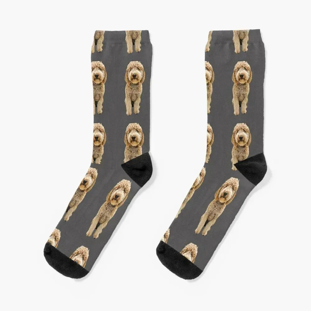 

Labradoodle Golden Doodle Socks floor Antiskid soccer shoes Mens Socks Women's