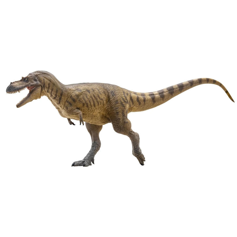 PNSO Prehistoric Dinosaur Models: 72 Wally The Albertosaurus