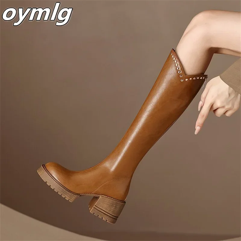 Thick soled thick heel versatile high top boots for women not over the knee2024 model with back zipper high-heeled knight boots