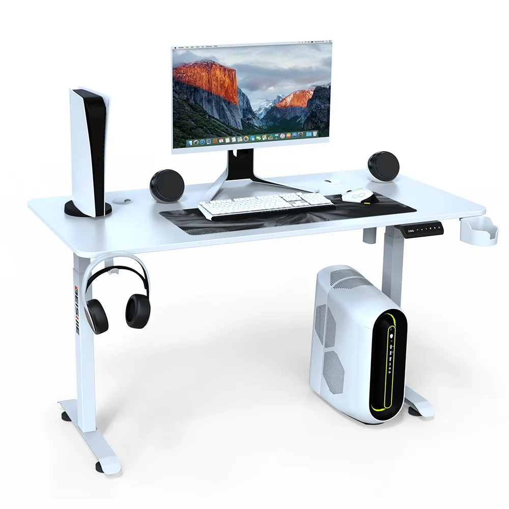 Standing Desk Electric Motorised Height Adjustable Standing Desk Laptop with carbon fiber pattern