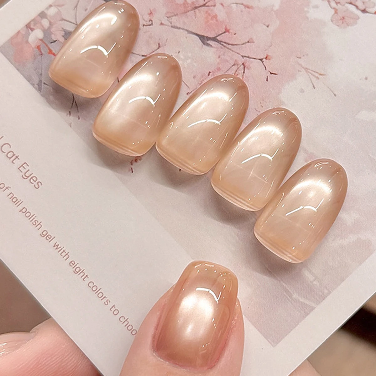 카지슈 1/3/6개입 퍼플 누드 캣아이 젤 폴리쉬 세트 - Nail Art Violet 리뷰 및 가격