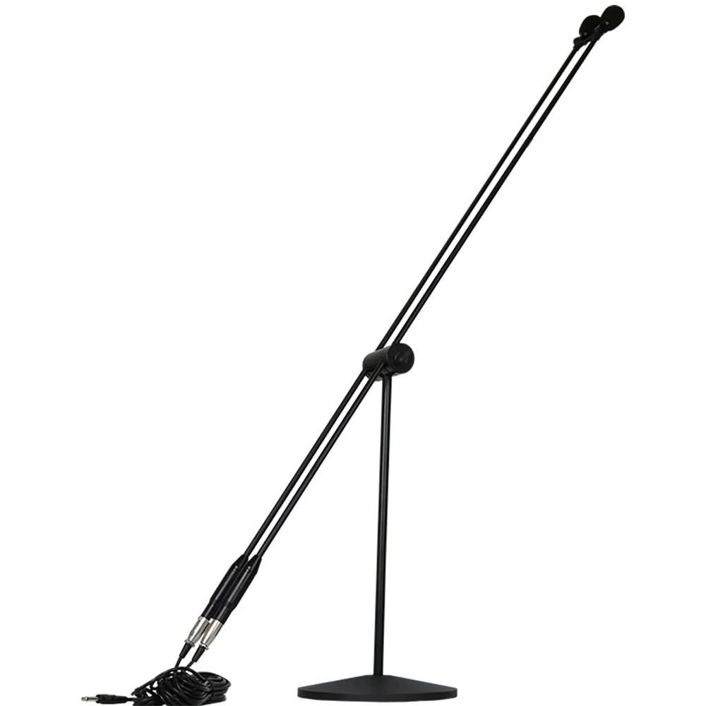 2026 Biner H78 Vertical Professional Recording Speech Capacitive Dual Core Stand Mic Pickup Arm Standing Microphone