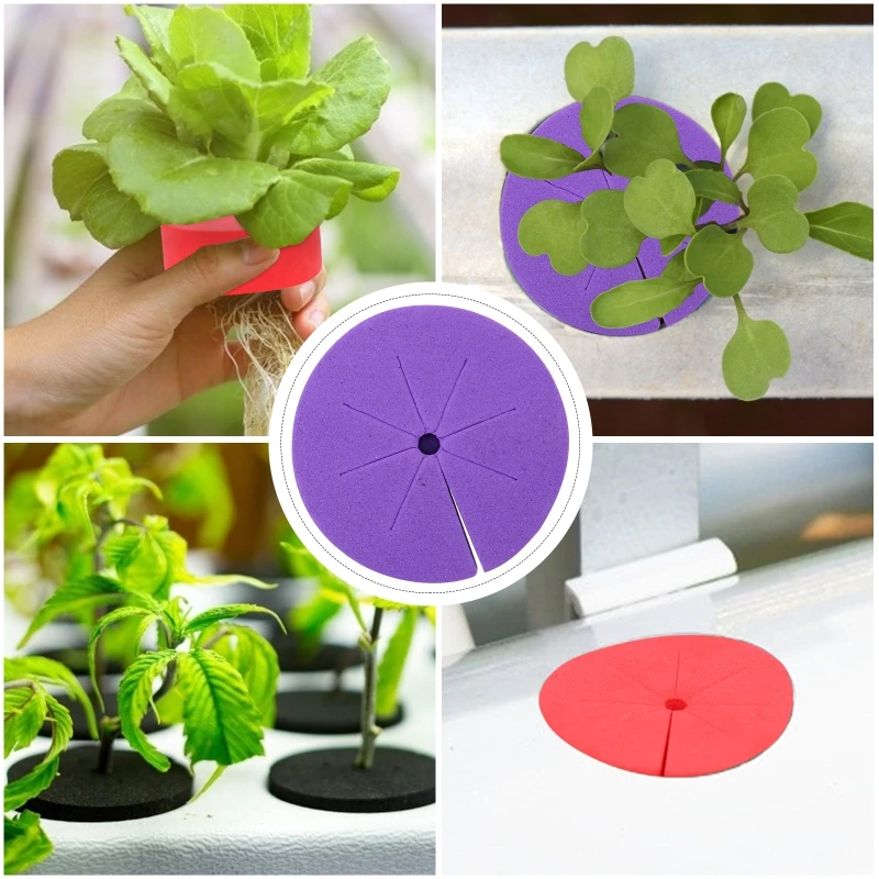 20 stücke 48/70mm Garten Soilless Anbau Kindergarten Schwamm Hydrokultur Syetem Klon Halsbänder Körbe Medien EVA Schaum pflanzung Schwamm – Detail 10