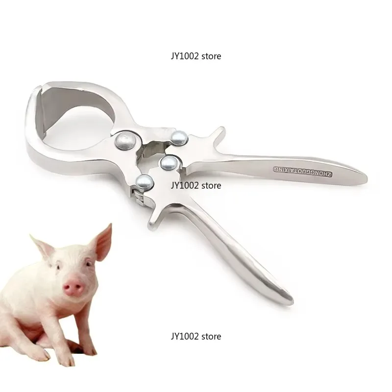 

Pig Farm Bloodless Castration Burdizzo Clamps Stainless Steel High Quality Pig Castration Tool
