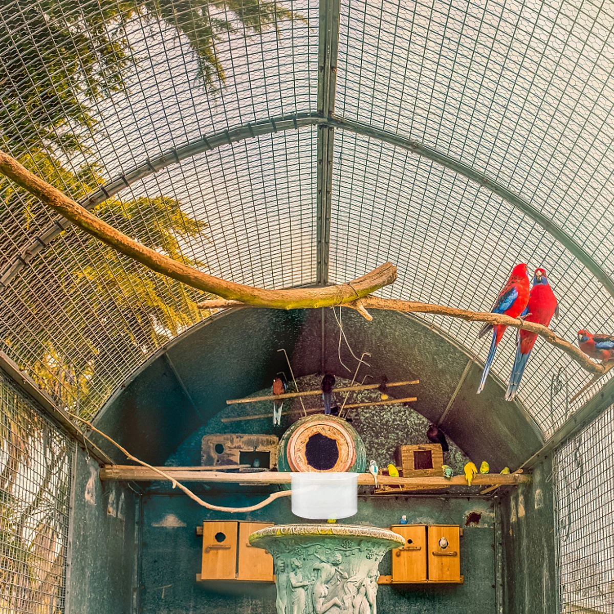 

12Pcs Plastic Bird Feeder Food Box Water Cup Hanging Trough Durable Practical Pet Pigeon Bird Supply Easy Use Feeder