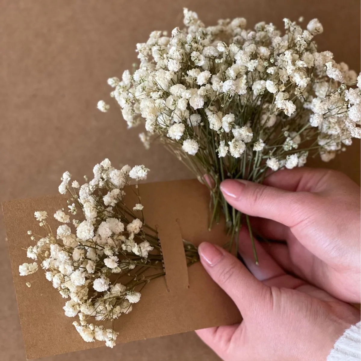 50 個のドライフラワー カスミソウ フラワーアレンジメント ウェディングパーティー クラフト愛好家 DIY カード テーブル花瓶 パンパスグラス装飾