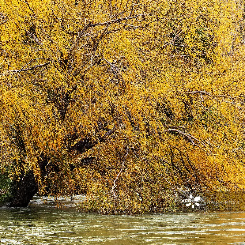 MJX Hyper Go 14211 1/14 4wd 4x4 camión RC sin escobillas Motor de coche eléctrico RC y ESC deriva de alta velocidad para adultos regalos para niños