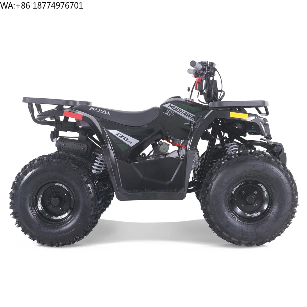 Tao Motor 2024 New 110cc 125cc 150cc Gas Powered Automatic Kids Quad Bike ATV