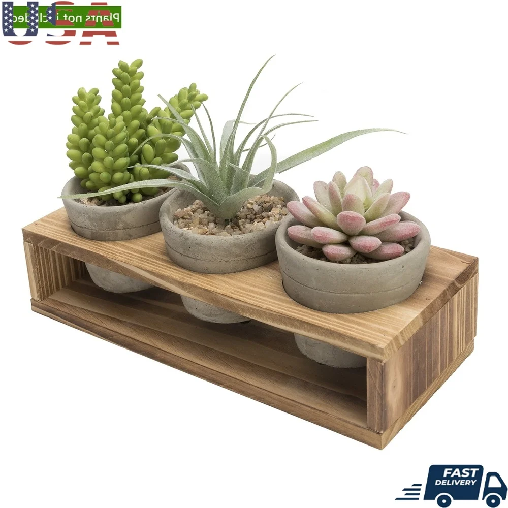 

Set of 3 Mini Gray Cement Pots with Wood Stand Succulents Herbs Decorative Planters with Drainage Holes