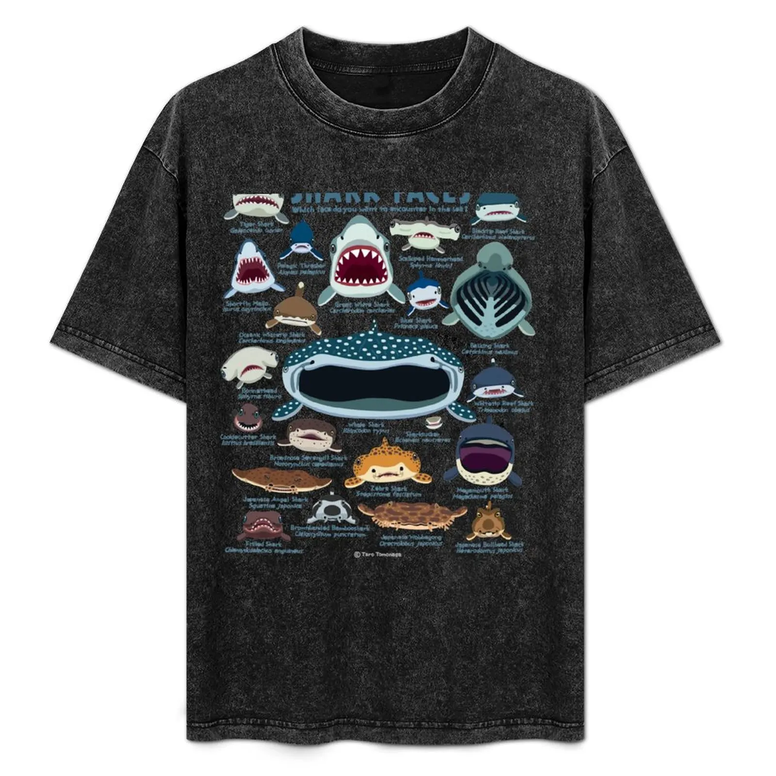 

Shark Faces Classic T-Shirt new gifts and t-shirts kawaii clothes mens t shirts