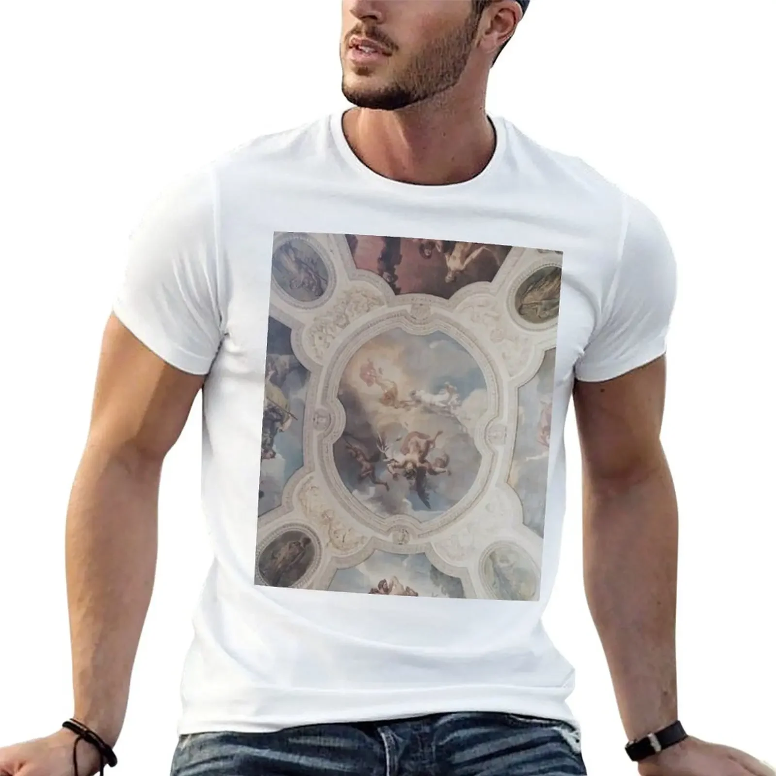 Light Academia Fresco Aesthetic T-Shirt Blouse anime clothes t shirt men 100℅ cotton