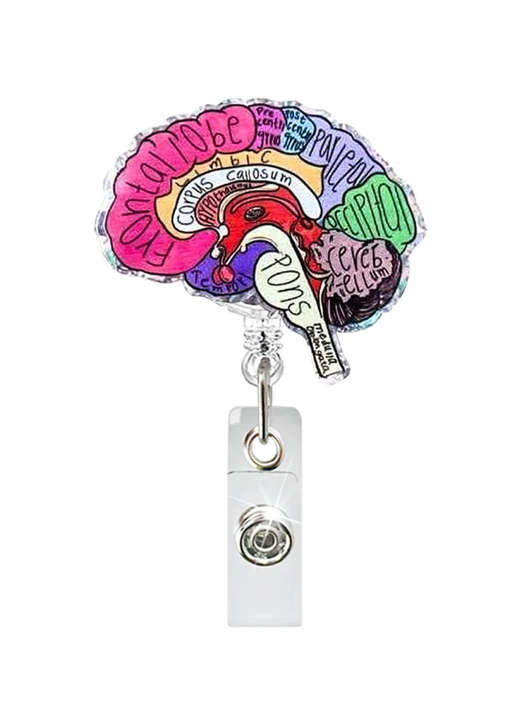 Acrylique coeur poumon cerveau rein rétractable tirer Badge bobine pour infirmière médecin ID lanière nom étiquette porte-clés chaîne Clips hôpital