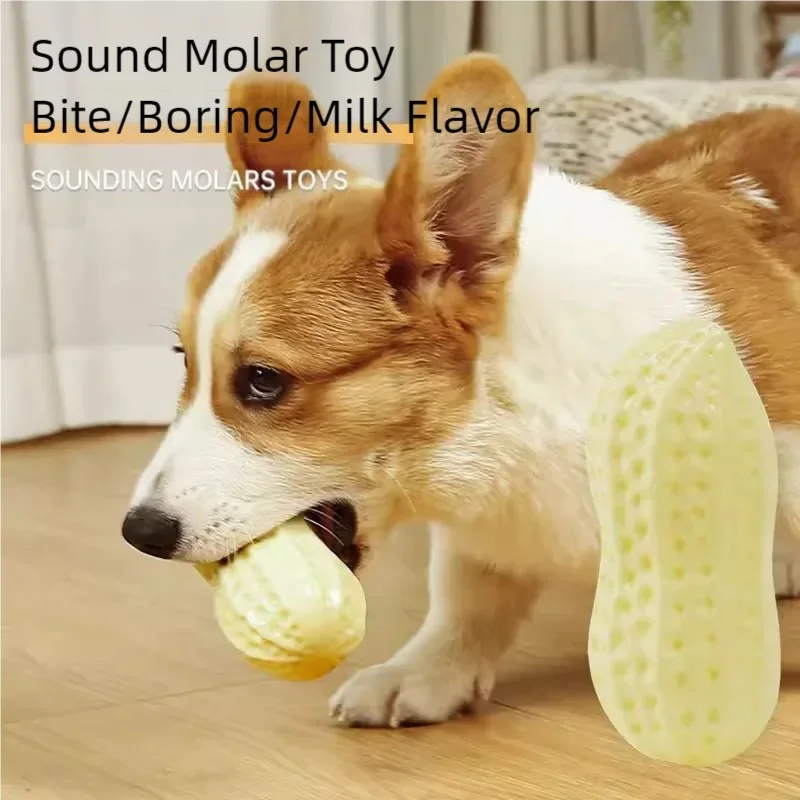 

Dog toy ball chews resistant, grinds, sounds peanuts, big dog, golden haired puppy, Kejifa, cat fighting, dog relieving device