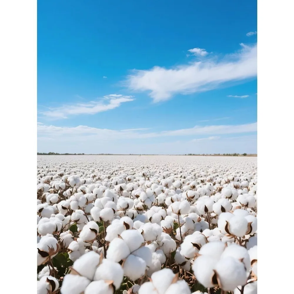 الرجال قطعة واحدة لوفي جير 5 Nika أنيمي هوديي الرجال النساء الشارع الشهير بلوزة كاجوال البلوز الخريف الشتاء كم طويل بلايز #5