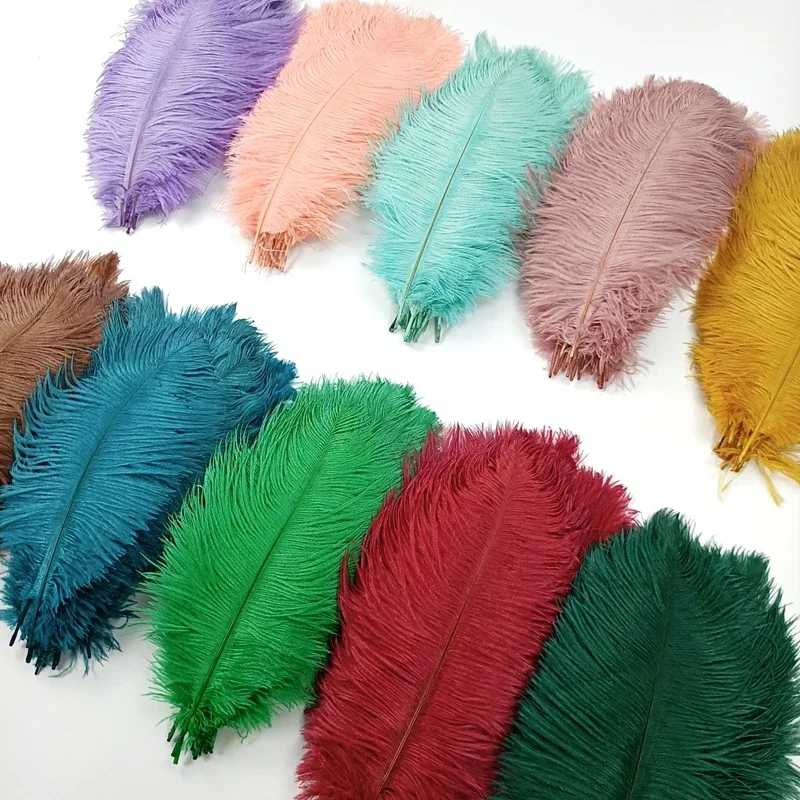 10Pcs/Lot Colorful Ostrich Feathers for Clothes Crafts DIY Feather Plume  Home Decor Table Centerpieces Plumes Vase Decoration