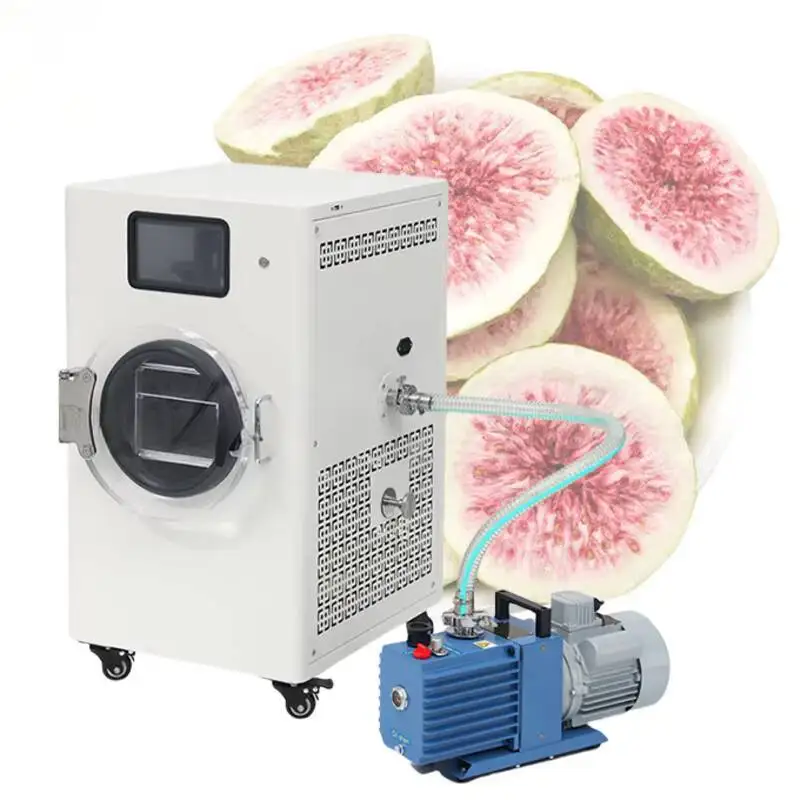 

Laboratory Meat Drying Freeze Dryer Hine For Home Use