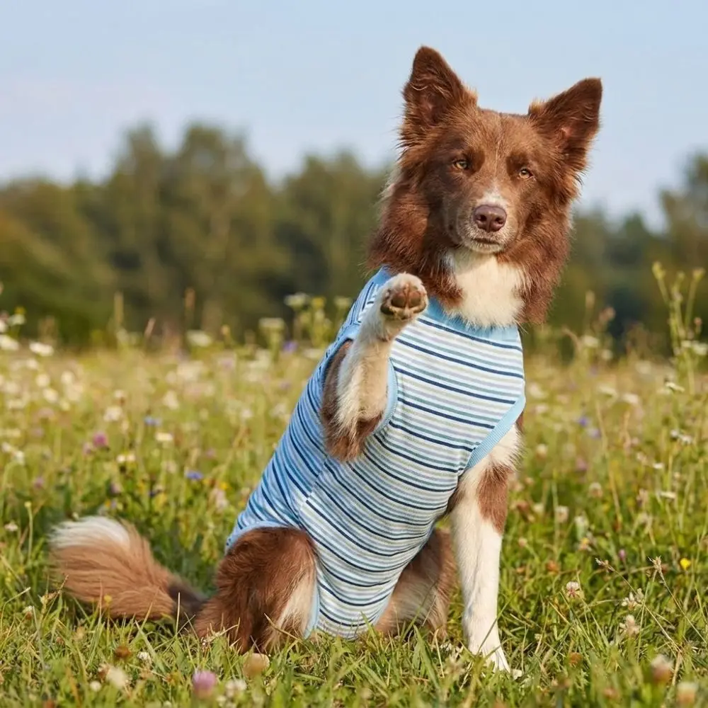 Breathable Dog Sterilization Suit Striped Soft Dog Anti-Licking Jumpsuit Adjustable High Elastic Pet Physiological Pants