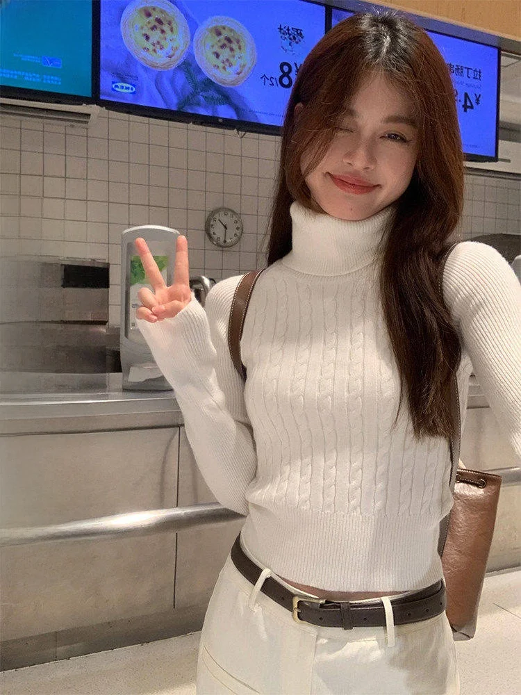 

Women's High Collar Slim Fit Knitwear ort Sle Inner Wear Top Pure Color Autumn Winter Faion Commute Sle Sizing