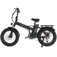 Windgoo F21 Pro Adult Electric Bicycle 250W Motor Foldable E Bike 48V 12.5Ah Battery 20-inch Tires City Commuter Electric Bike