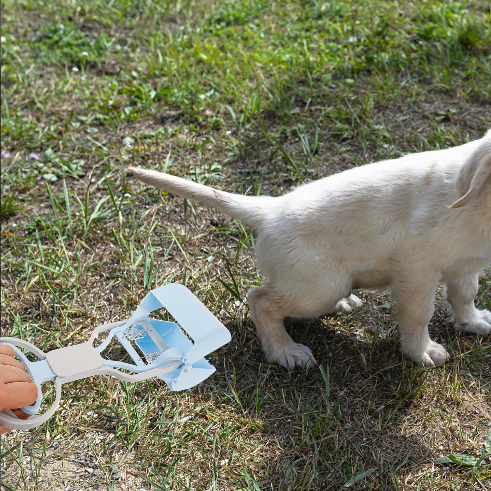 

Efficient Poop Scooper for Large Dogs Reliable Reusable Dog Pooper Scooper Smooth Non-Deformable Surface Ideal for Yard and