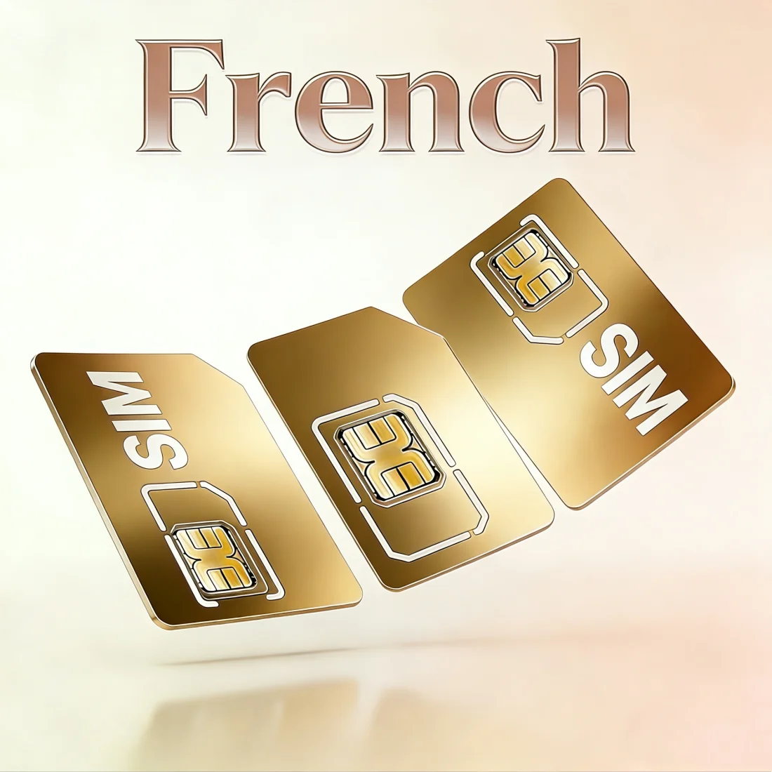 GPS Tracker 4G SIM Card, Pet Positioning Collar, France IoT Device, 500MB European Roaming Data, 365 Day Service