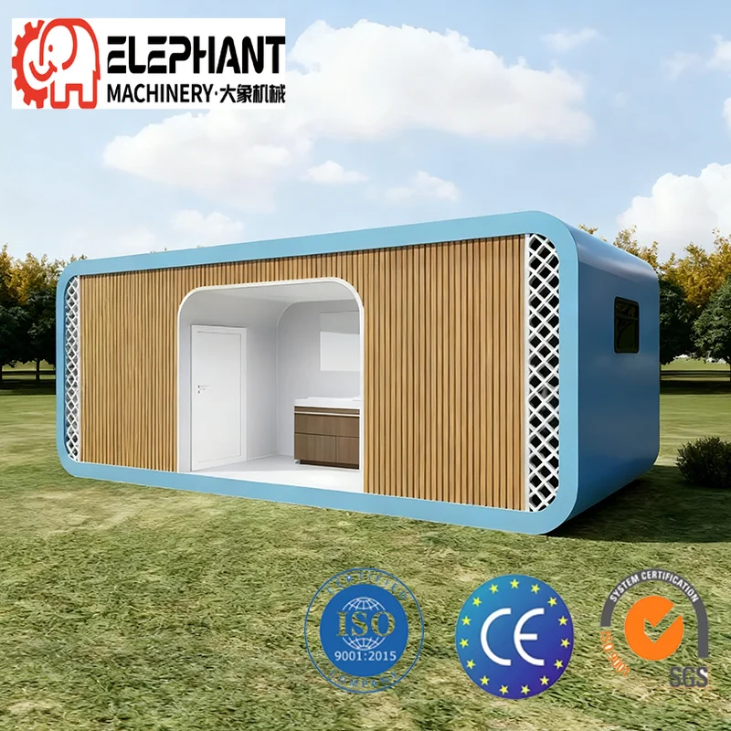 DX High Quality Eco Friendly Prefab Detachable Container Houses Sale Modern Mobile Fast Delivery Customizable Office Building