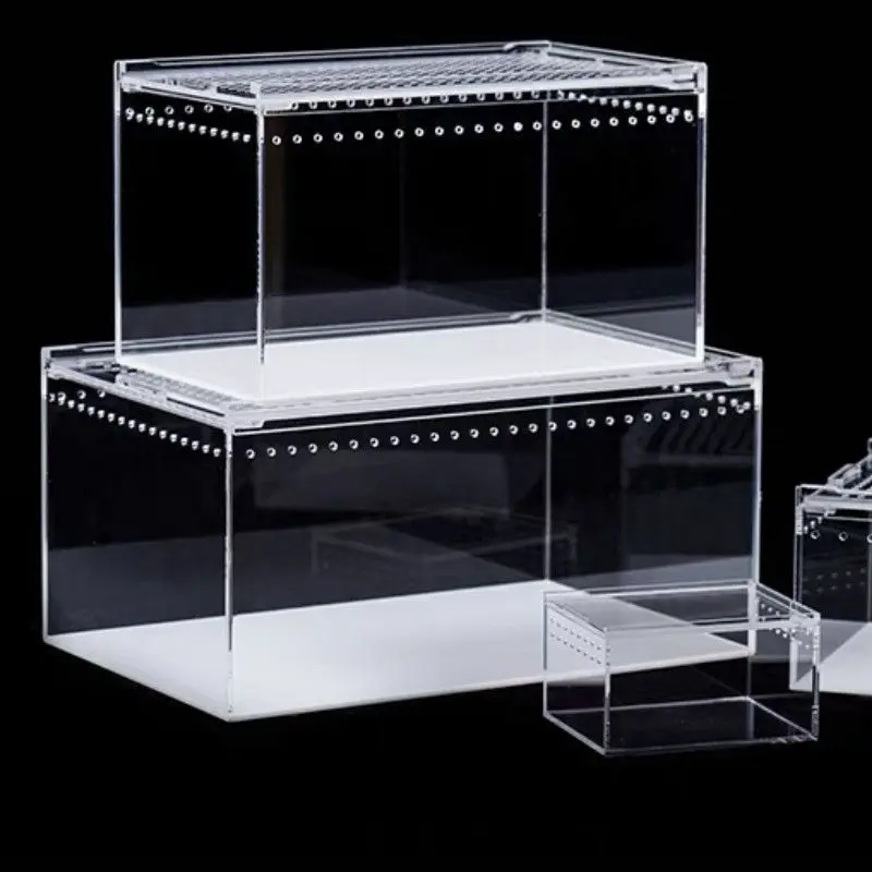 Reptile Acrylic Feeding Box Pet Box Spider Guardian Horned Frog Beetle Silkworm Baby Snake Reptile Pet Box