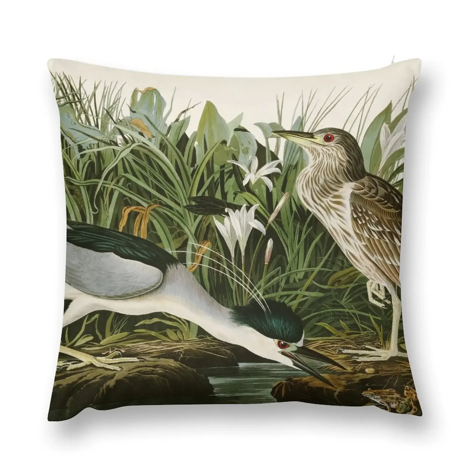 

Night Heron - John James Audubon Birds of America Throw Pillow Christmas Pillow Covers Pillow Cases Decorative