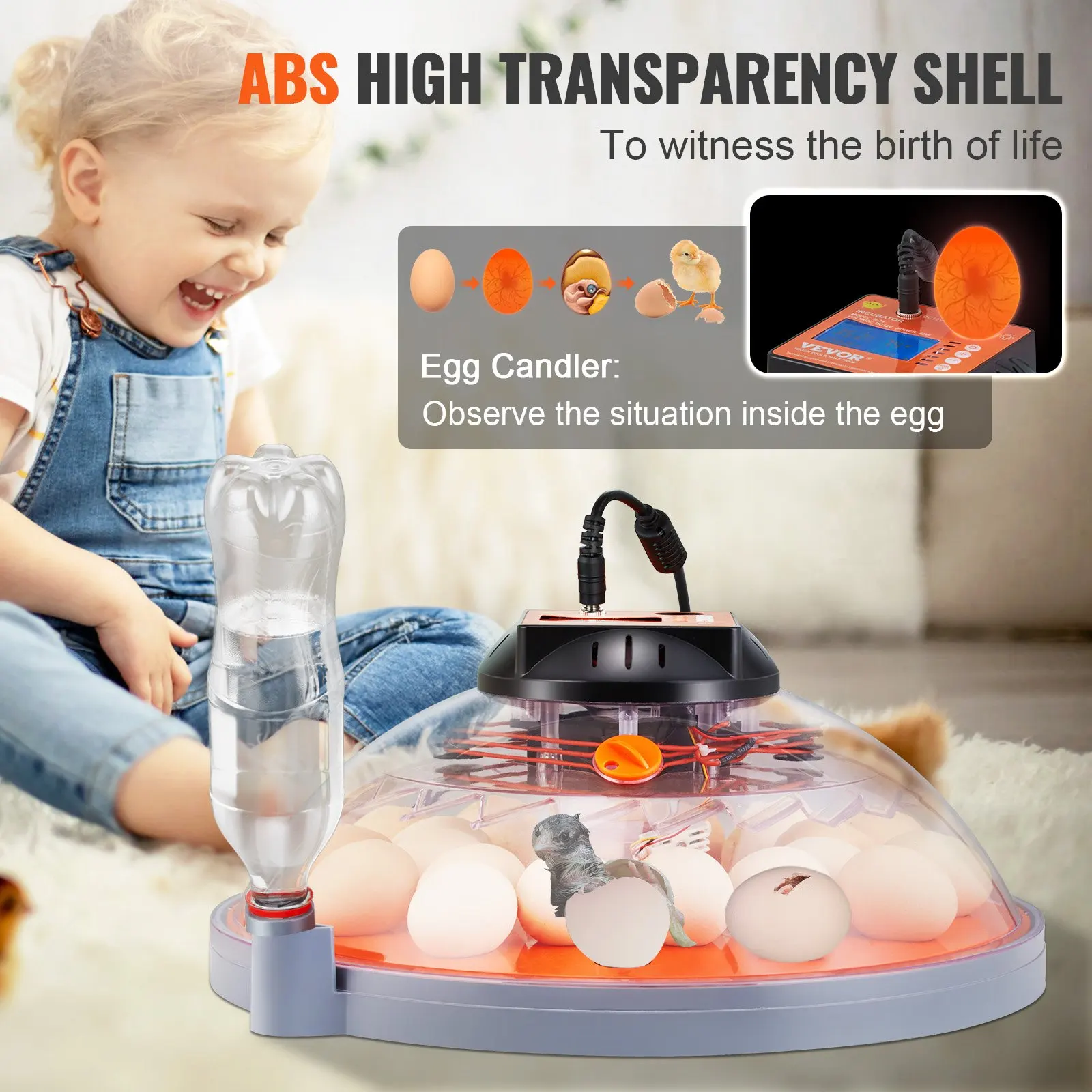 Automatic Turner with Temperature and Humidity 24 Eggs Poultry Hatcher with Shell