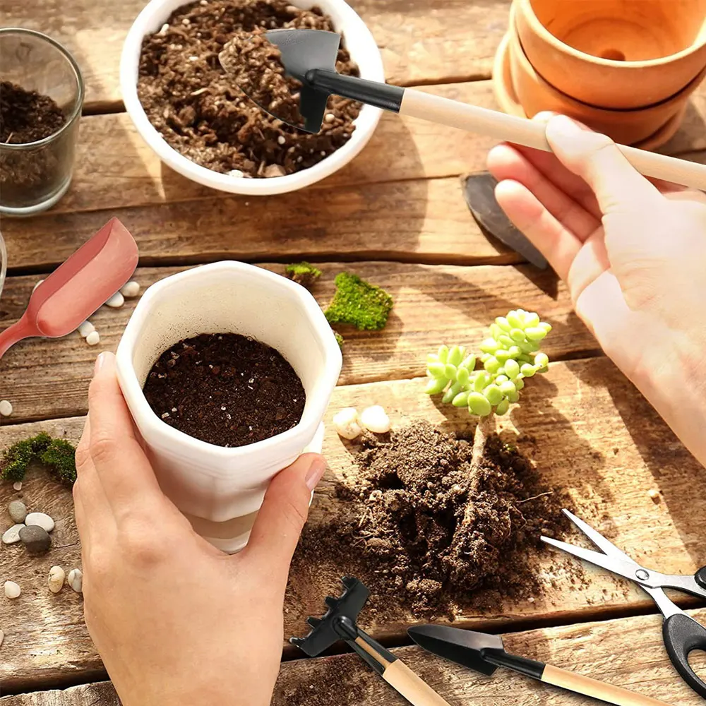 Narzędzia do sukulentów Lekki zestaw do przesadzania bonsai Mini ogrodowe narzędzia ręczne Miniaturowa pielęgnacja roślin w pomieszczeniach do