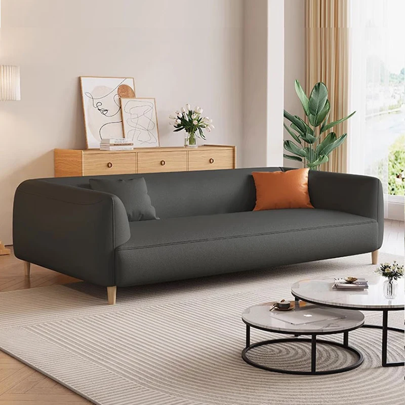

Nordic Seat Nordic Sofa Normal Gold Legs Modern Filler Recliners Sofa High Back Muebles Para Salas Lazy Muebles Unique Furniture