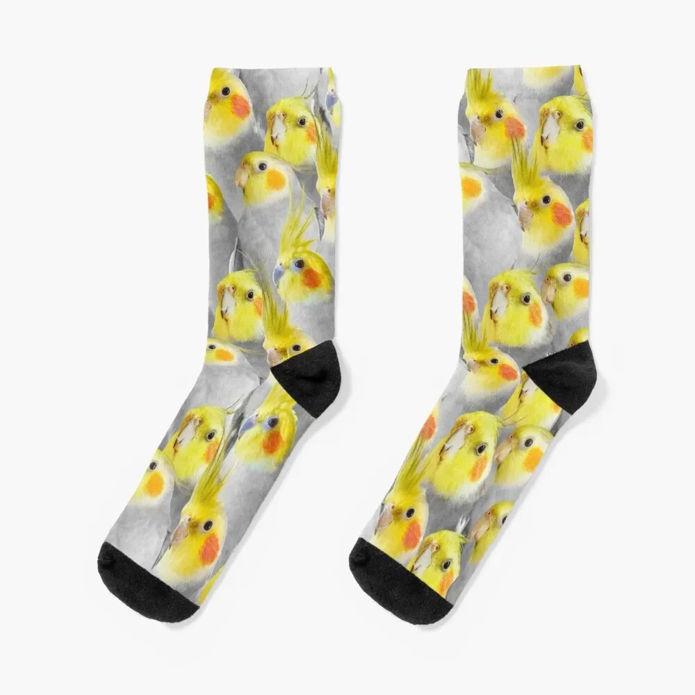 

Cockatiel Crowd Pattern Socks sports and leisure Hiking boots essential Socks Men Women's