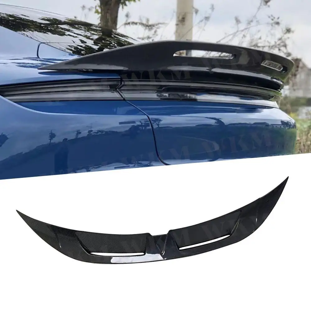 Carbon Fiber Rear B… - image