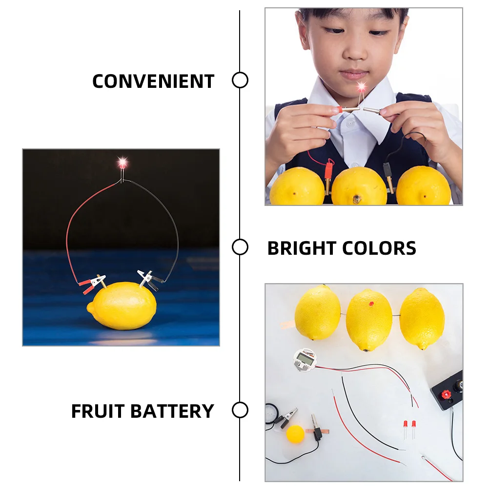 

2 Sets Fruit Experiment Kit Digital Watch Potato Science Toys Metal Physics Educational DIY Project School Student